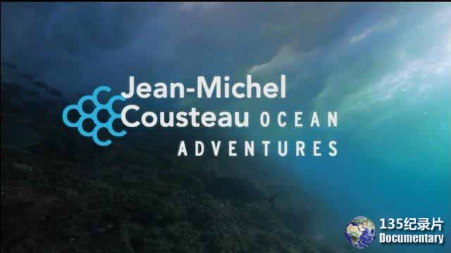 Ocean-Adventures-2.jpg