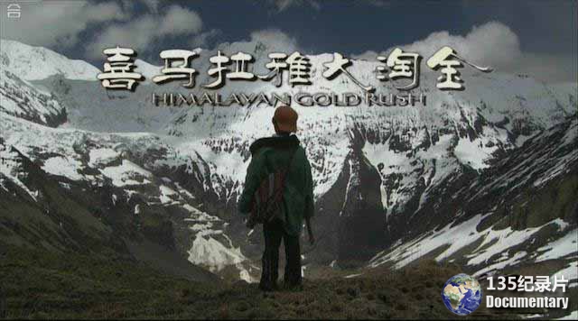 Hymalayan-Gold-Rush.jpg