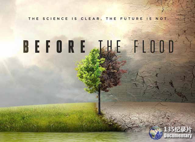 Before-the-Flood1.jpg