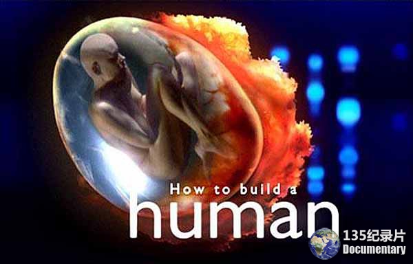 How-to-Build-A-Human.jpg