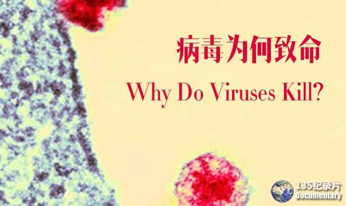 Why-Do-Viruses-Kill.jpg