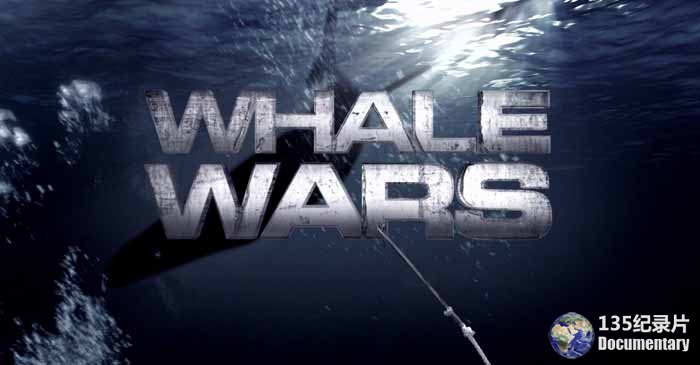 Whale-Wars.jpg