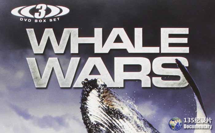 Whale-Wars-3.jpg