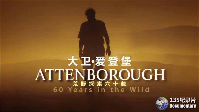 Attenborough-60-Years-In-The-Wild.jpg