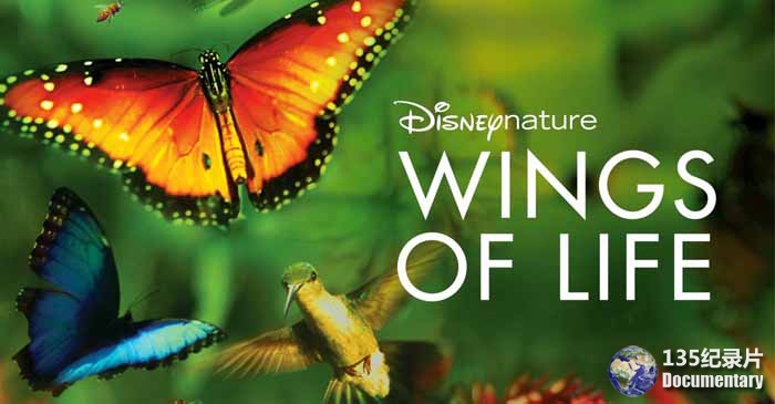 Wings-Of-Life.jpg