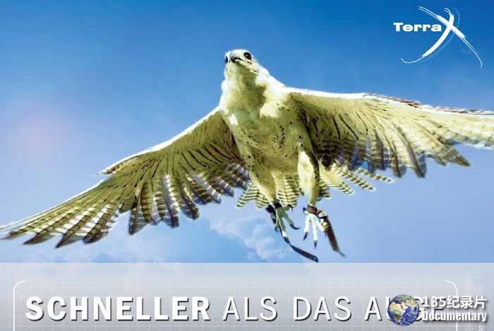 Terra-X-Schneller-als-das-Auge.jpg
