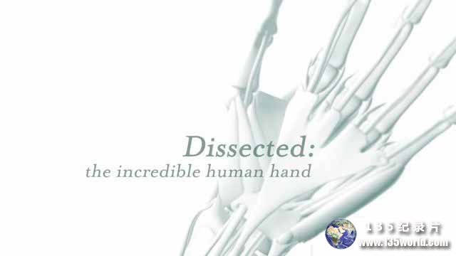 Dissected-The-Incredible-Human.jpg