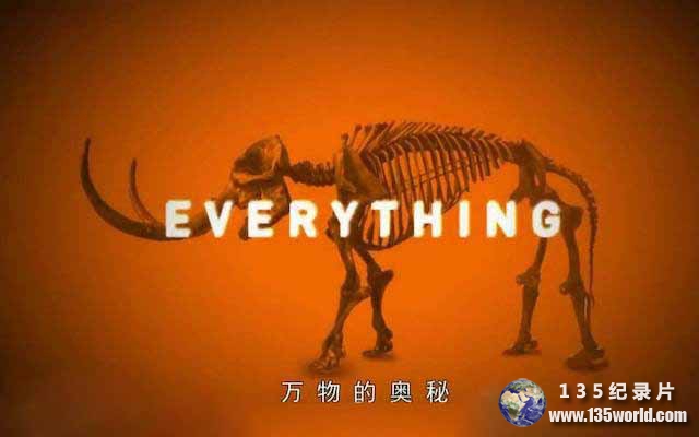 Everything.jpg
