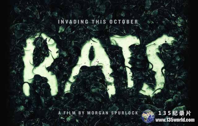 Rats.jpg