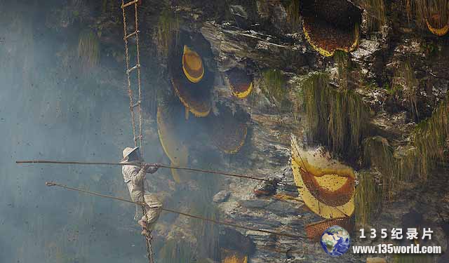 The-Honey-Hunters-of-Nepal.jpg
