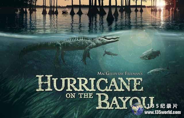 Hurricane-on-the-Bayou.jpg
