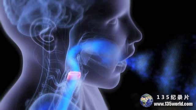 Mysteries-of-the-Human-Voice.jpg