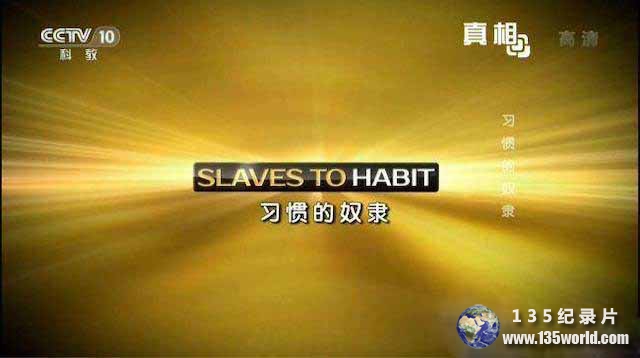 Slaves-To-Habit.jpg