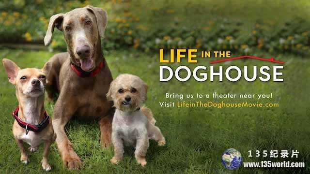 Life-in-the-Doghouse-2.jpg