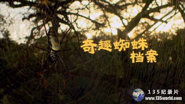 zhizhu.jpg