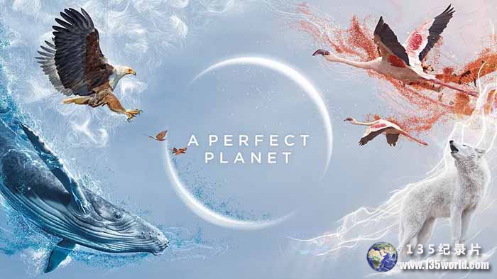 A-Perfect-Planet.jpg