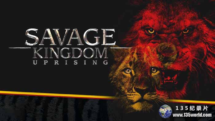 Savage-Kingdom-S3.jpg