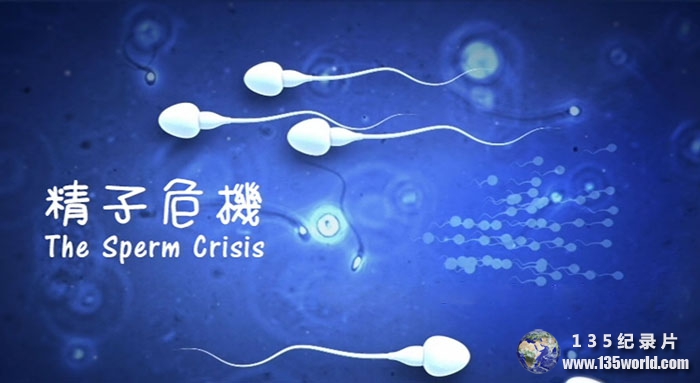 The-Sperm-Crisis.jpg