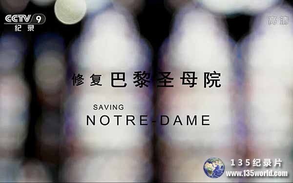 Saving-Notre-Dame.jpg