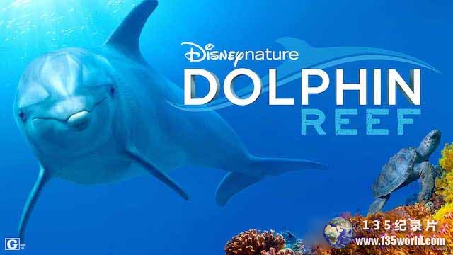 Dolphin-Reef.jpg