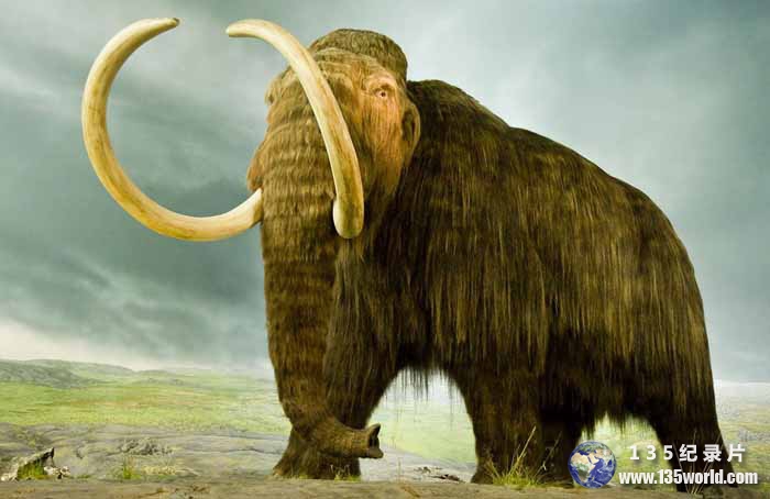 Woolly-Mammoth-Secrets-from-the-Ice.jpg
