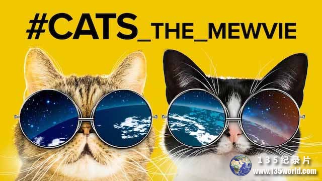 cats_the_mewvie.jpg