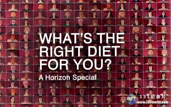 Whats-The-Right-Diet-For-You.jpg