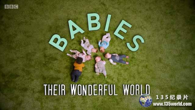 The-Wonderful-World-of-Babies.jpg
