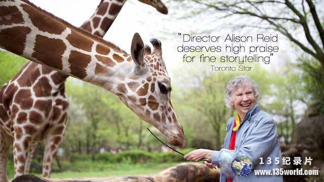 The-Woman-Who-Loves-Giraffes.jpg