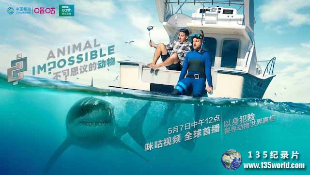Animal-Impossible.jpg
