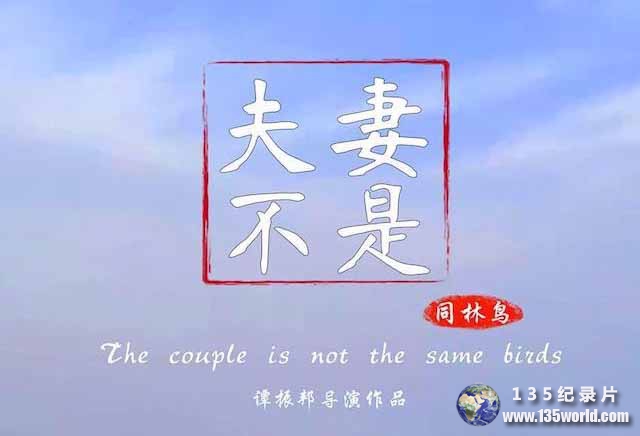 The-Couple-Is-Not-the-Same-Birds.jpg