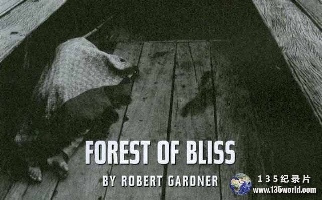 Forest-of-Bliss.jpg