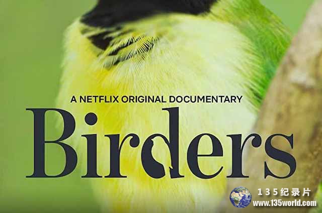 Birders.jpg