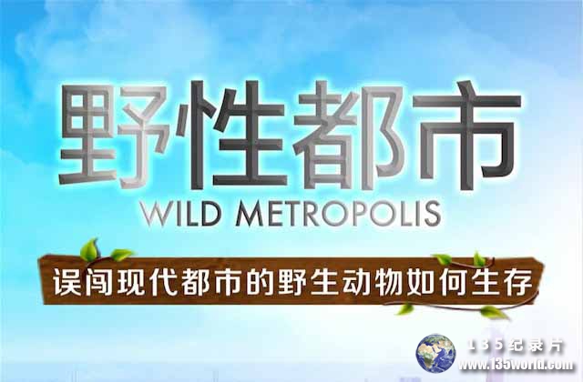 Wild-Metropolis.jpg