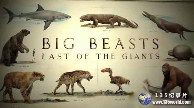 Big-Beasts-Last-of-the-Giants.jpg