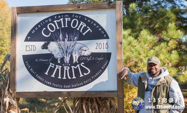 Comfort-Farms.jpg