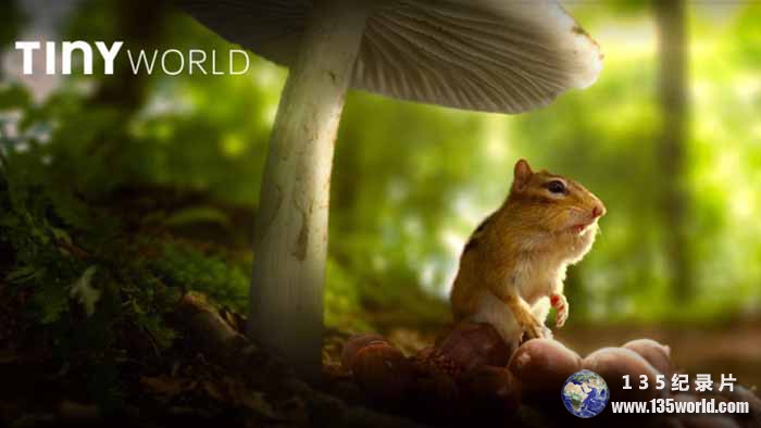Tiny-World-S1-4K.jpg