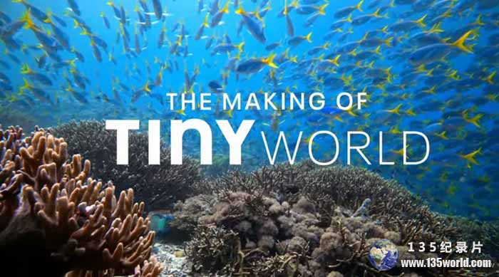 Tiny-World-S2-4K.jpg