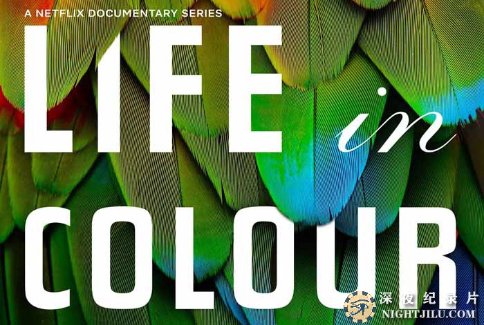 Life-In-Colour.jpg