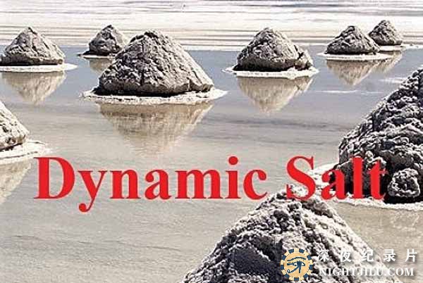 Dynamic-Salt.jpg