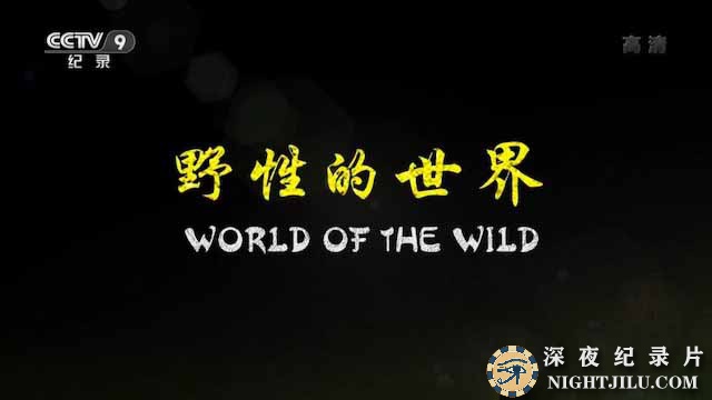 World-of-the-Wild.jpg