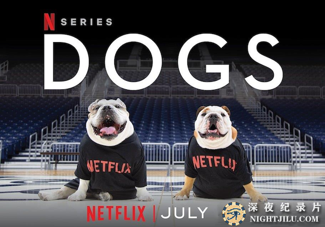 Dogs-s2.png