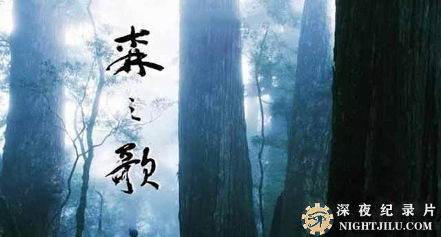 Song-of-the-Forest.jpg