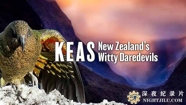 Keas.jpg