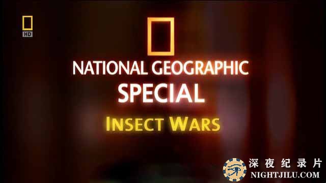Insect-Wars.jpg