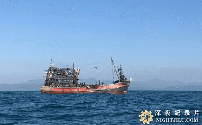 fei-fa-bu-yu.jpg