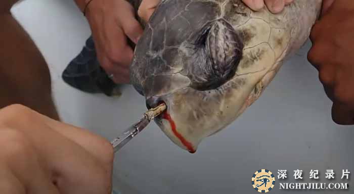Removing-a-plastic-straw.jpg