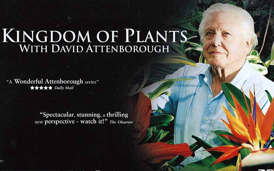 Kingdom-of-Plants.jpg