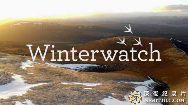 Winterwatch.jpg