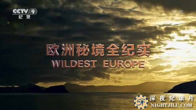 Wildest-Europe.jpg